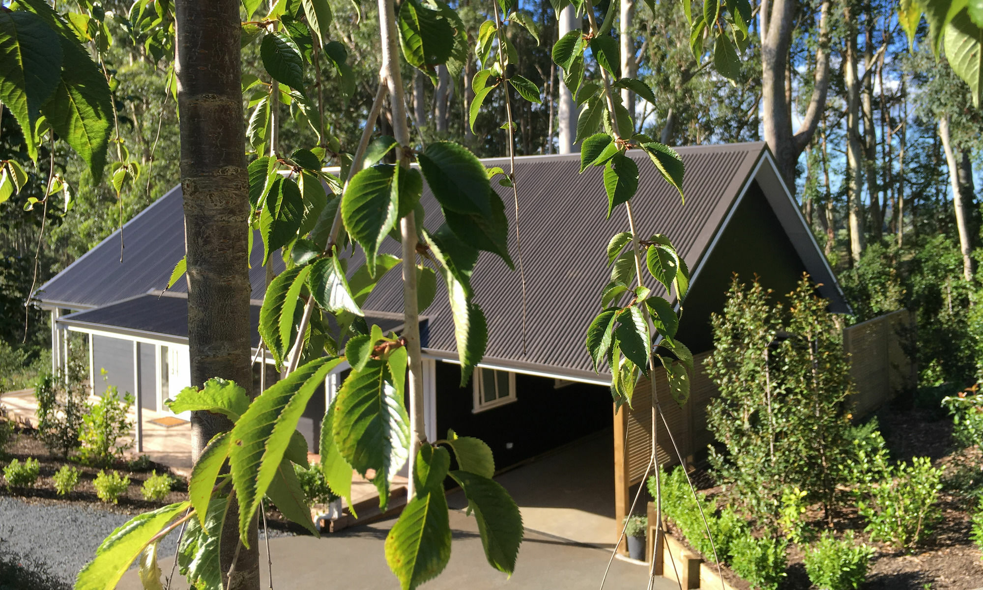 Treghan Luxury Lodge Kerikeri Exterior photo
